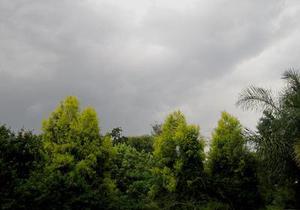 陸龍玉