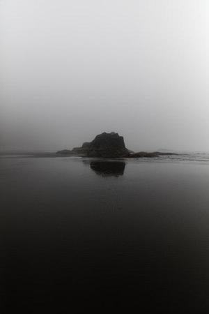 【影像隨筆】貓鏡子