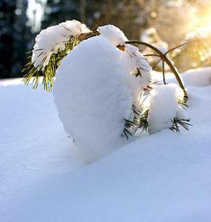天冰雪