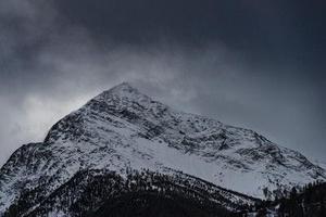 陳陳巴巴