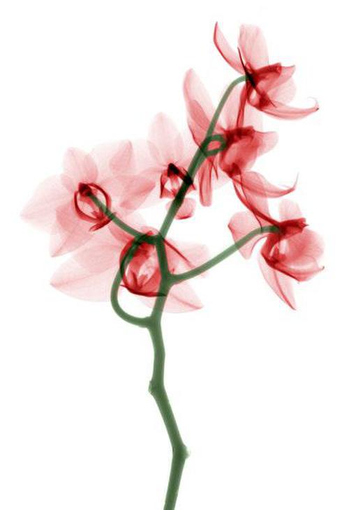 愛購(gòu)彩在線手機(jī)版安裝