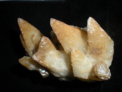 GT彩票登錄介紹最新