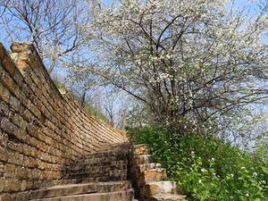 邵熙婭
