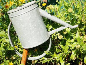 直到永遠
