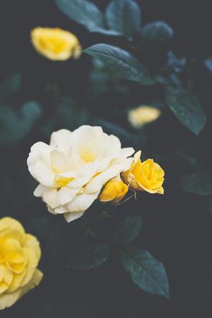 悄悄的