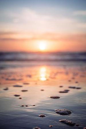 肖海秦