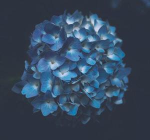 爽洋洋