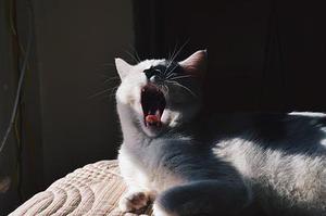 好累啊