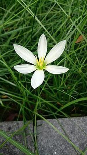 雨海之謎