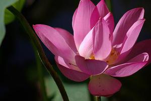 多路增量源源不斷進(jìn)場(chǎng)A股“大盤搭臺(tái)、小盤唱戲”格局正形成