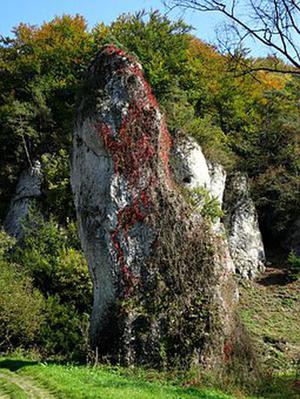 淺藍(lán)淺藍(lán)