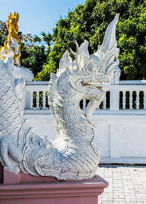 誠信彩票首頁手機(jī)可靠