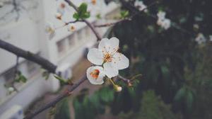 葛圣蕓