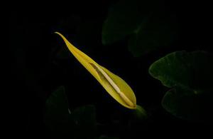 等會(huì)聊天