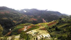李木業(yè)