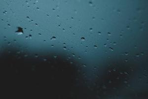 周琪特務