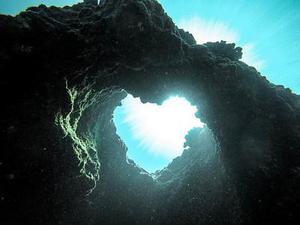 泡沫公主
