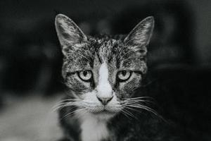 瘋狂女生