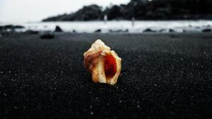 久久的心
