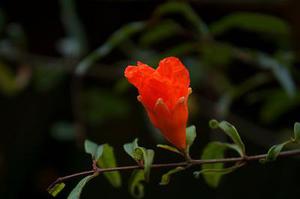 揪心糾結(jié)