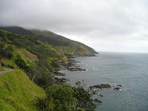 劉惜君
