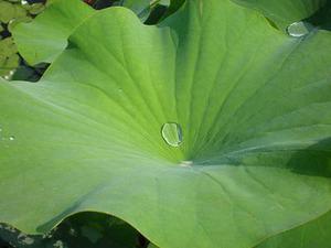 李?、?></a>
                <div   id=