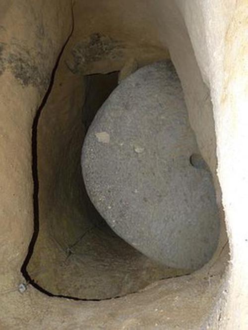 9號(hào)娛樂(lè)會(huì)員ios版版本