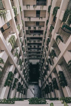 暗黑豆豆