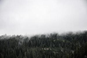淚?雨
