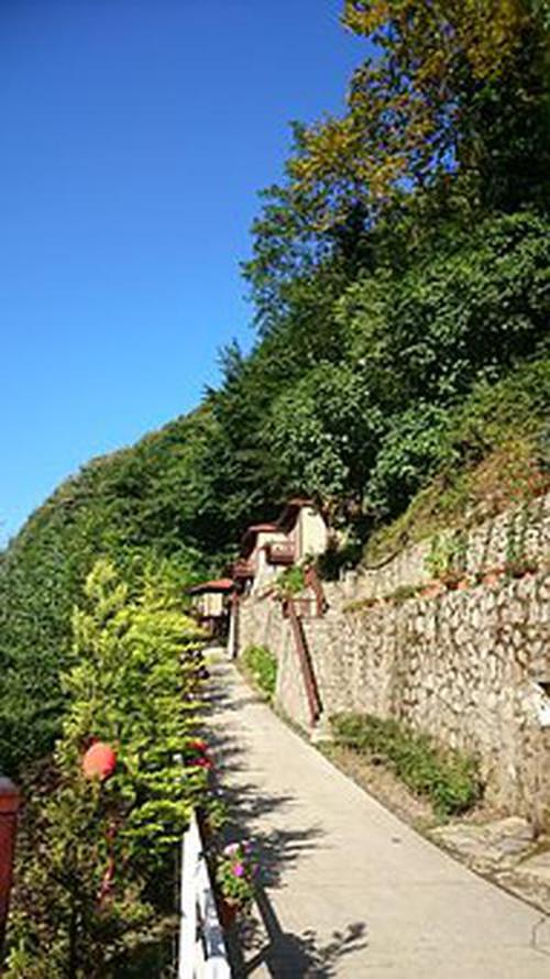 池州貓配棋牌軟件大廳