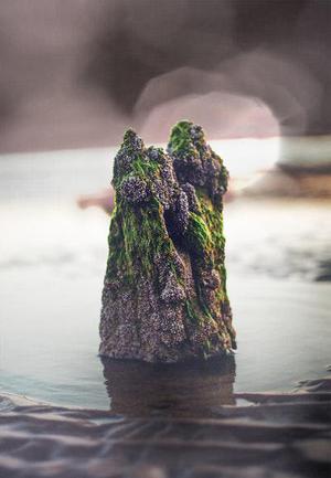傳道士