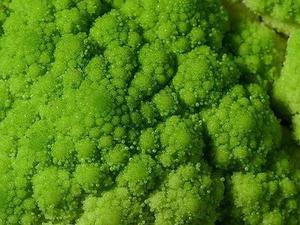 葉漢麟