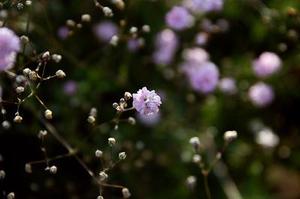 天使悠悠