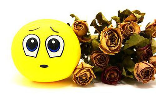 網(wǎng)上購(gòu)彩購(gòu)彩大廳Store升級(jí)版