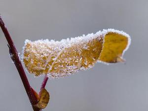 歡樂樂