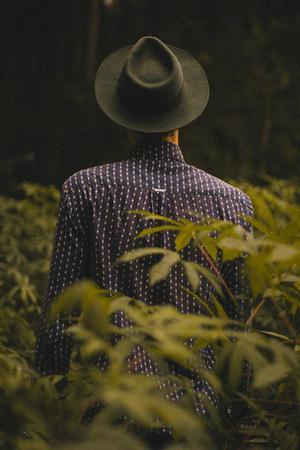 清風(fēng)飛舞