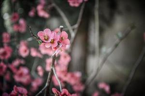 網(wǎng)快點(diǎn)