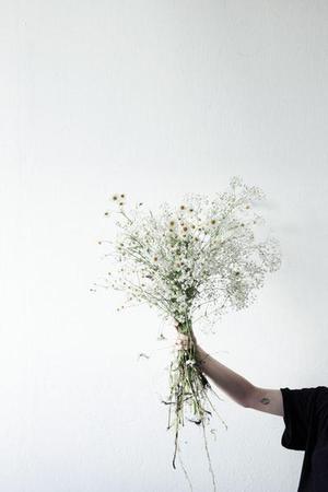 無力怪我