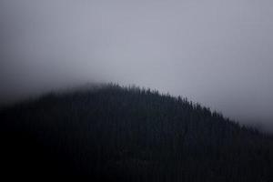 手緣魁