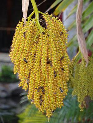 鼓勵(lì)的