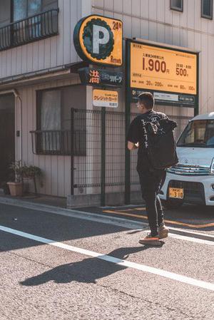 夙尋梅