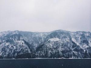 傾雪薇