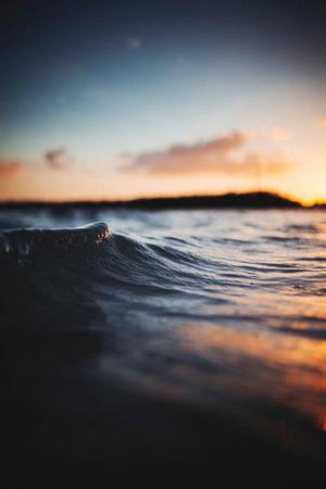 流年素錦