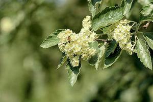 怡小悠