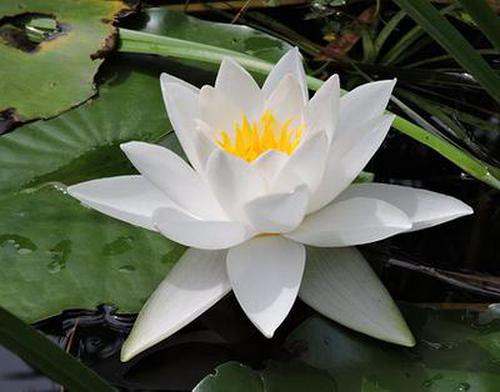 福彩新快3信譽安全