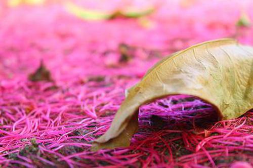英國福彩網(wǎng)幸運(yùn)五星彩下載更新