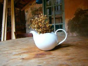 范思思
