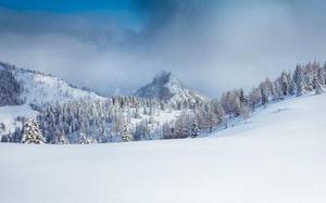 飄〇落雪