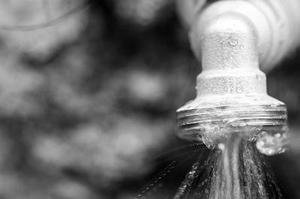 水水金