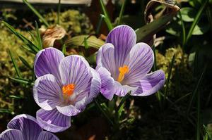 華熙涵